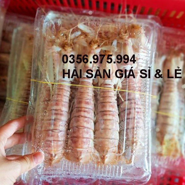 Tôm tí giá sỉ lẻ  cung cấp hải sản giá sỉ lẻ 