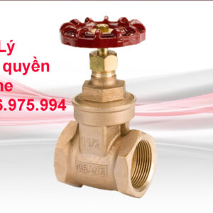 Van Crane D151 1/4" đến 4" Van cổng – Đồng