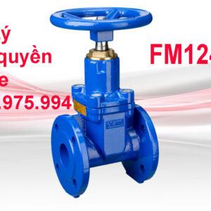 Van Crane FM124 / FM125 50mm - 300mm Van cổng tựa đàn hồi (RSGV) – Gang dẻo