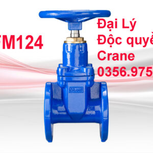 Van Crane FM124 / FM125 50mm - 300mm Van cổng tựa đàn hồi (RSGV) – Gang dẻo