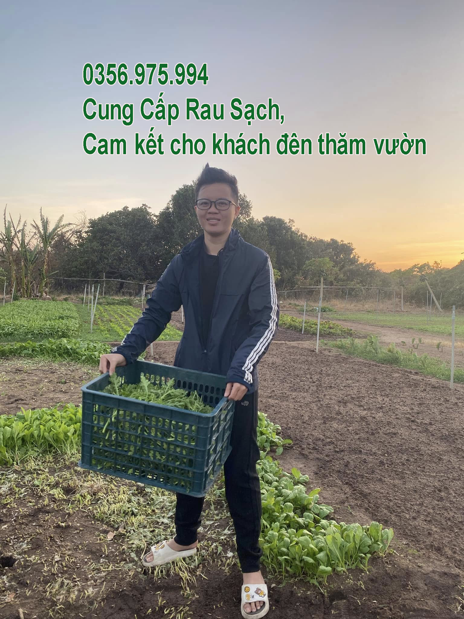 cung cap rau sach