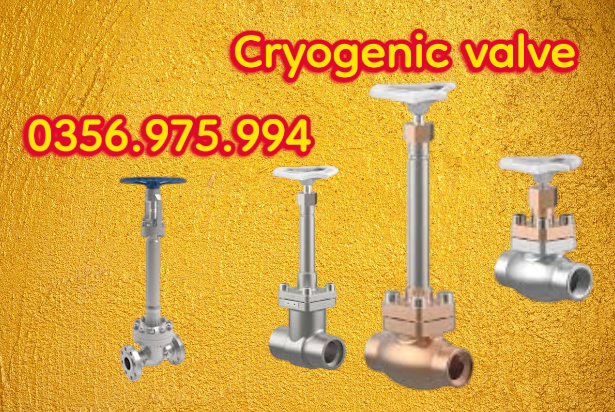 Cryogenic valve van khí hóa lỏng