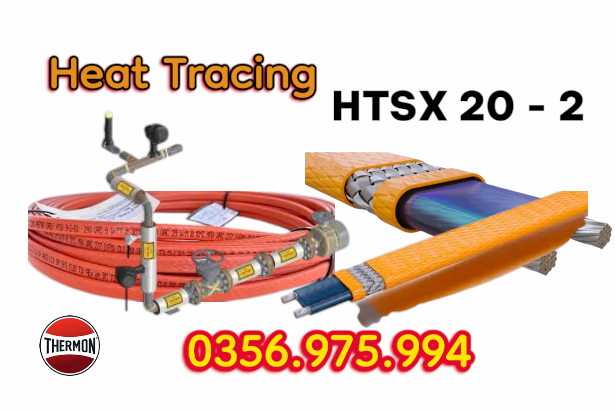 HTSx 20 2 19