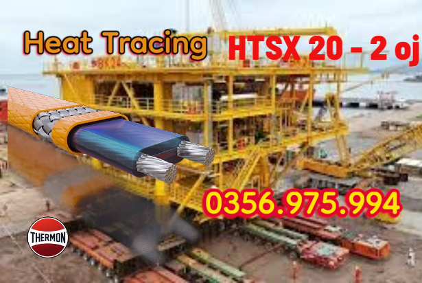 HTSx 20-2