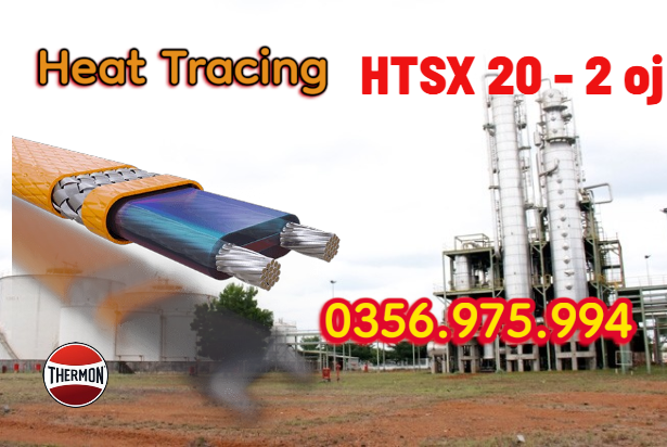 HTSx 20-2