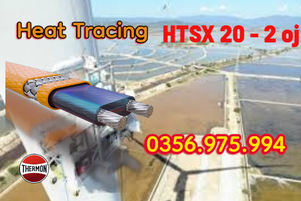 HTSx 20-2