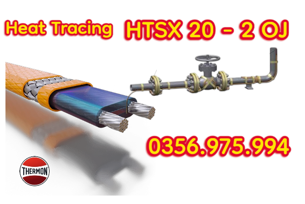 HTSx 20-2