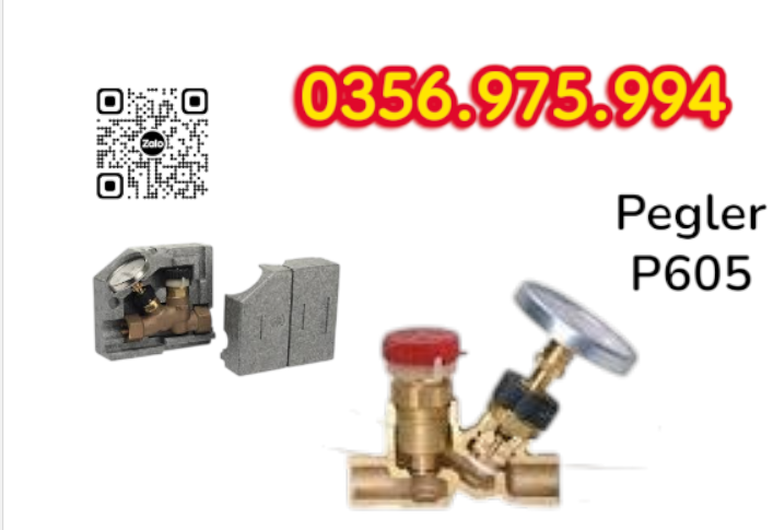 p605 Pegler, Van cân bằng nhiệt P605 Pegler