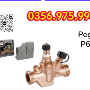 p605 Pegler, Van cân bằng nhiệt P605 Pegler