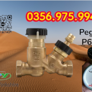 van cân bằng nhiệt áp pegler p605, P605 pegler