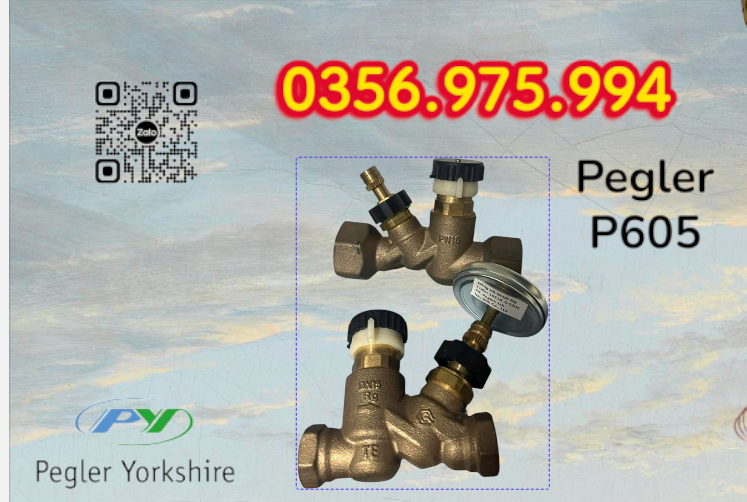 VAN CÂN BẰNG NHIỆT ÁP P605 PEGLER, VAN CÂN BẰNG NHIỆT ÁP PEGLER P605