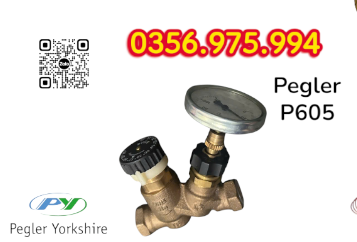 VAN CÂN BẰNG NHIỆT ÁP P605 PEGLER, VAN CÂN BẰNG NHIỆT ÁP PEGLER P605
