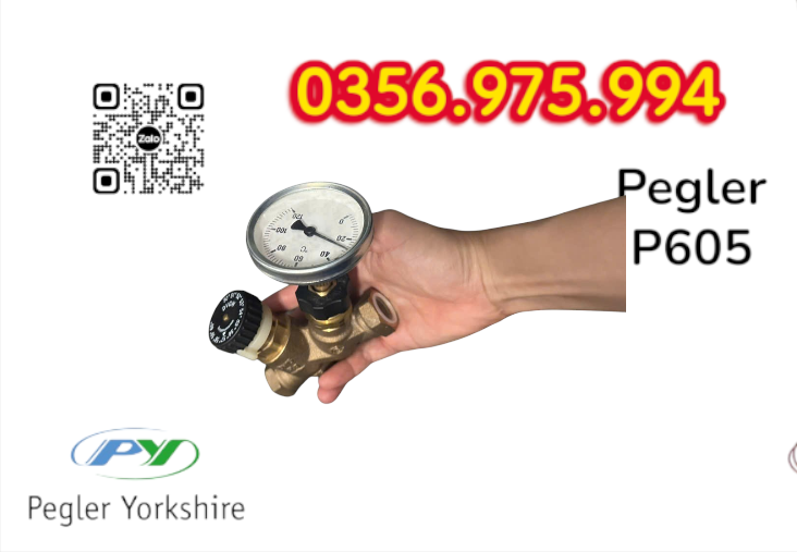 VAN CÂN BẰNG NHIỆT ÁP P605 PEGLER, VAN CÂN BẰNG NHIỆT ÁP PEGLER P605
