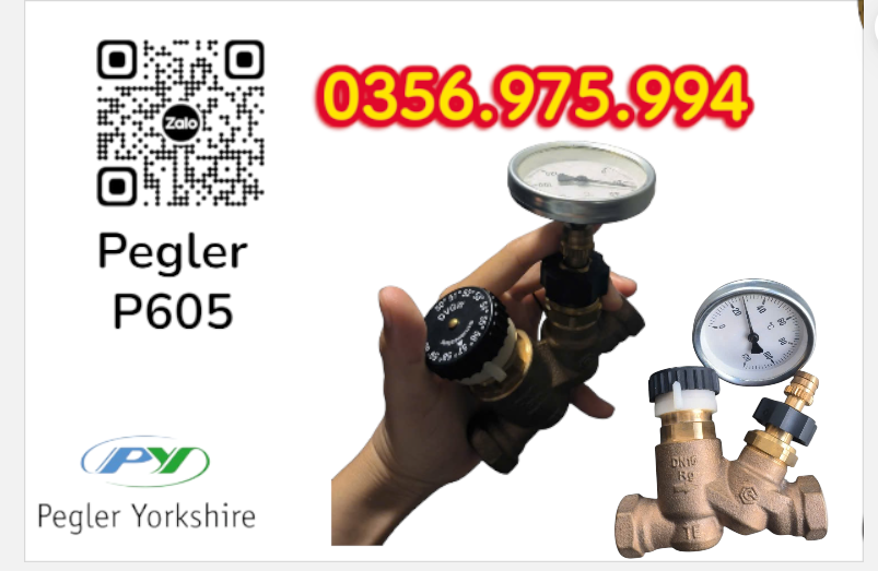 VAN CÂN BẰNG NHIỆT ÁP P605 PEGLER, VAN CÂN BẰNG NHIỆT ÁP PEGLER P605