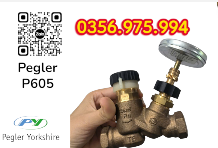 VAN CÂN BẰNG NHIỆT ÁP P605 PEGLER, VAN CÂN BẰNG NHIỆT ÁP PEGLER P605