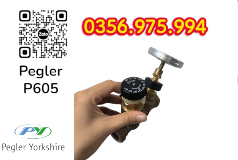 VAN CÂN BẰNG NHIỆT ÁP P605 PEGLER, VAN CÂN BẰNG NHIỆT ÁP PEGLER P605