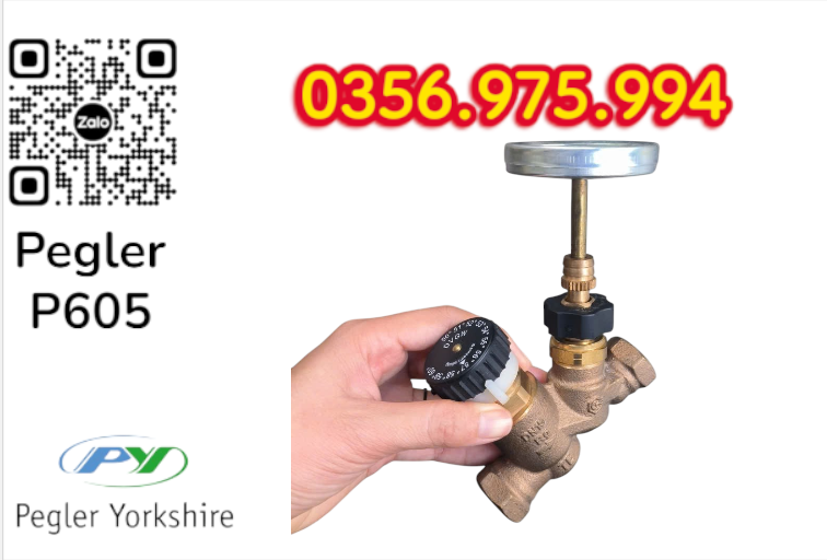 VAN CÂN BẰNG NHIỆT ÁP P605 PEGLER, VAN CÂN BẰNG NHIỆT ÁP PEGLER P605
