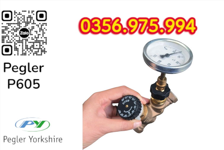 VAN CÂN BẰNG NHIỆT ÁP P605 PEGLER, VAN CÂN BẰNG NHIỆT ÁP PEGLER P605