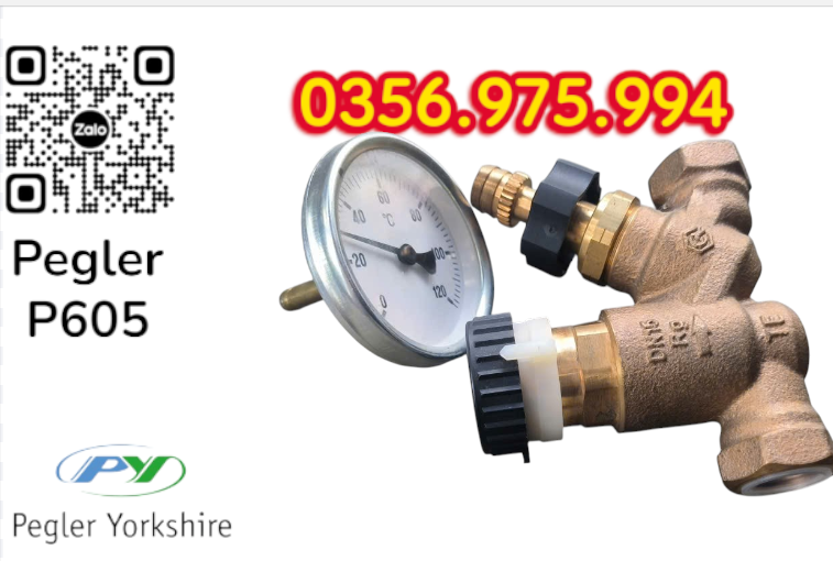 VAN CÂN BẰNG NHIỆT ÁP P605 PEGLER, VAN CÂN BẰNG NHIỆT ÁP PEGLER P605