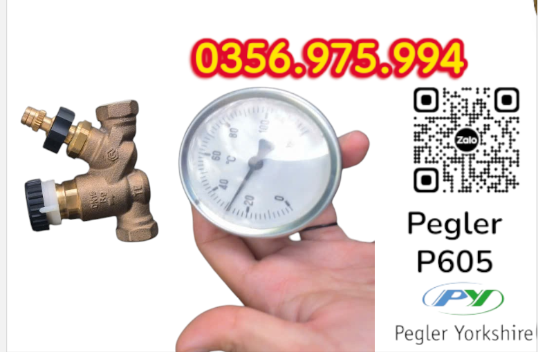 VAN CÂN BẰNG NHIỆT ÁP P605 PEGLER, VAN CÂN BẰNG NHIỆT ÁP PEGLER P605
