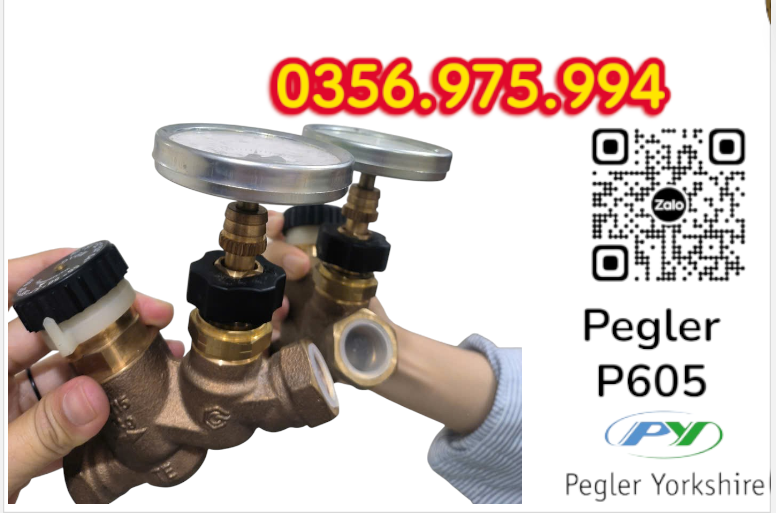 VAN CÂN BẰNG NHIỆT ÁP P605 PEGLER, VAN CÂN BẰNG NHIỆT ÁP PEGLER P605