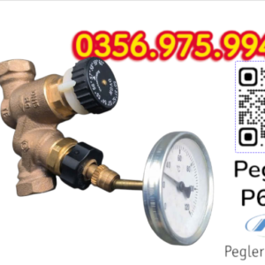 VAN CÂN BẰNG NHIỆT ÁP P605 PEGLER, VAN CÂN BẰNG NHIỆT ÁP PEGLER P605VAN CÂN BẰNG NHIỆT ÁP P605 PEGLER, VAN CÂN BẰNG NHIỆT ÁP PEGLER P605
