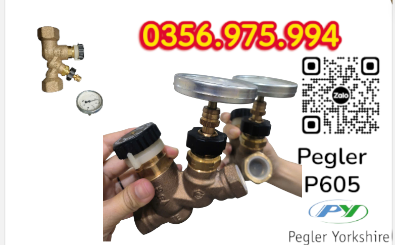 VAN CÂN BẰNG NHIỆT ÁP P605 PEGLER, VAN CÂN BẰNG NHIỆT ÁP PEGLER P605