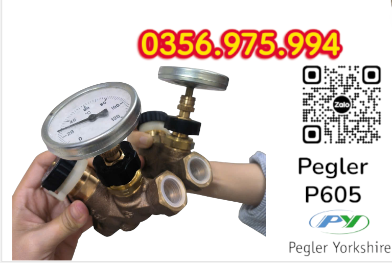 VAN CÂN BẰNG NHIỆT ÁP P605 PEGLER, VAN CÂN BẰNG NHIỆT ÁP PEGLER P605