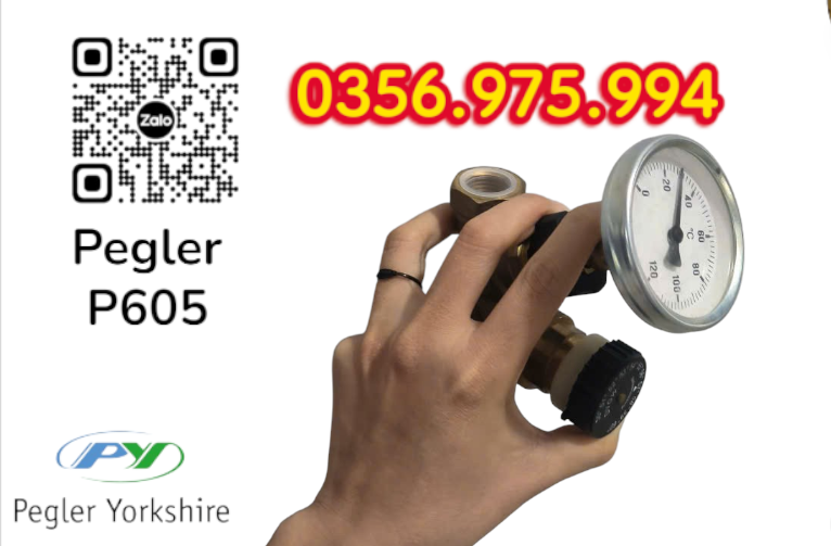 VAN CÂN BẰNG NHIỆT ÁP P605 PEGLER, VAN CÂN BẰNG NHIỆT ÁP PEGLER P605