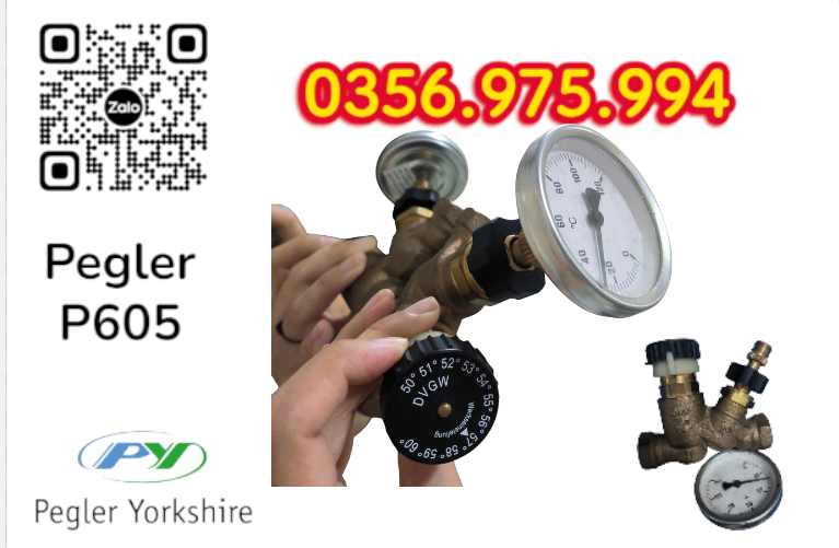 VAN CÂN BẰNG NHIỆT ÁP P605 PEGLER, VAN CÂN BẰNG NHIỆT ÁP PEGLER P605VAN CÂN BẰNG NHIỆT ÁP P605 PEGLER, VAN CÂN BẰNG NHIỆT ÁP PEGLER P605