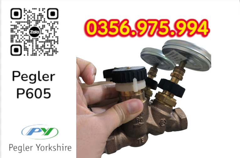 VAN CÂN BẰNG NHIỆT ÁP P605 PEGLER, VAN CÂN BẰNG NHIỆT ÁP PEGLER P605