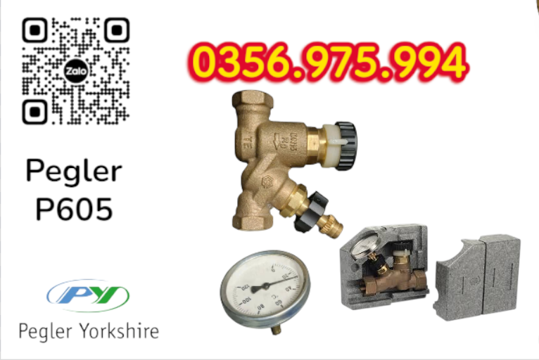 VAN CÂN BẰNG NHIỆT ÁP P605 PEGLER, VAN CÂN BẰNG NHIỆT ÁP PEGLER P605