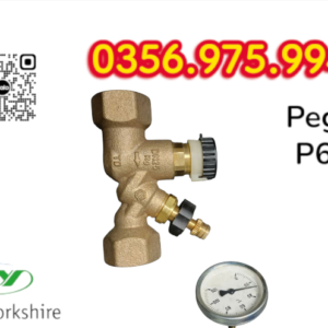 VAN CÂN BẰNG NHIỆT ÁP P605 PEGLER, VAN CÂN BẰNG NHIỆT ÁP PEGLER P605