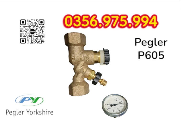 VAN CÂN BẰNG NHIỆT ÁP P605 PEGLER, VAN CÂN BẰNG NHIỆT ÁP PEGLER P605