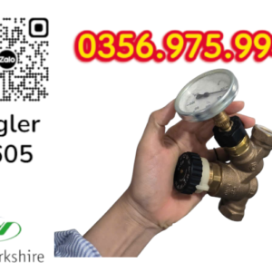 VAN CÂN BẰNG NHIỆT ÁP P605 PEGLER, VAN CÂN BẰNG NHIỆT ÁP PEGLER P605