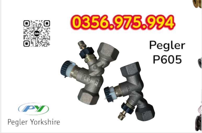 VAN CÂN BẰNG NHIỆT ÁP P605 PEGLER, VAN CÂN BẰNG NHIỆT ÁP PEGLER P605