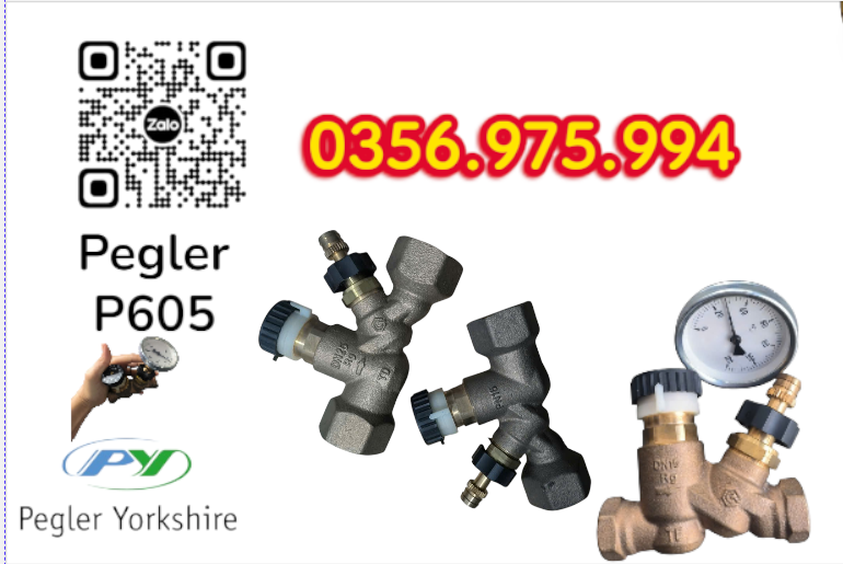 VAN CÂN BẰNG NHIỆT ÁP P605 PEGLER, VAN CÂN BẰNG NHIỆT ÁP PEGLER P605