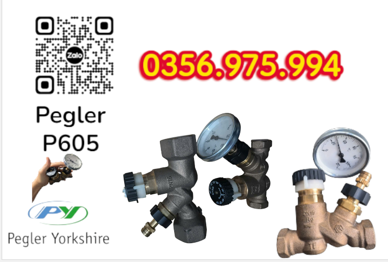 VAN CÂN BẰNG NHIỆT ÁP P605 PEGLER, VAN CÂN BẰNG NHIỆT ÁP PEGLER P605