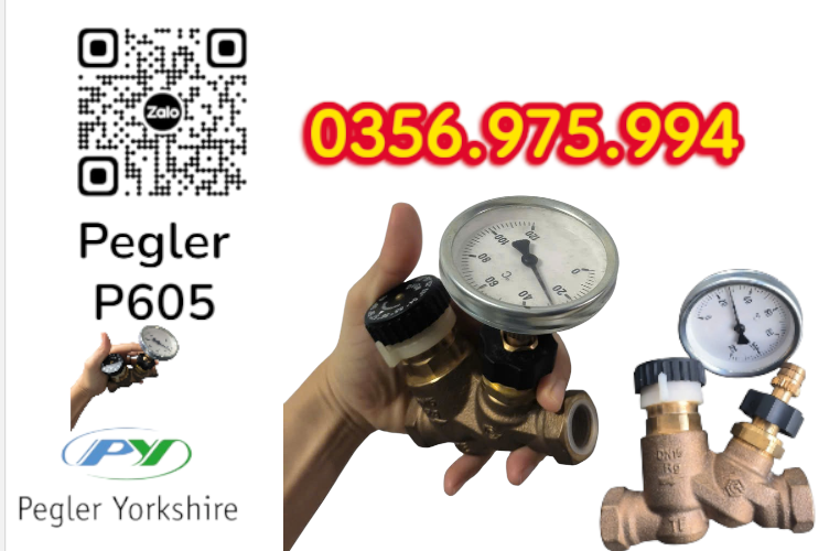VAN CÂN BẰNG NHIỆT ÁP P605 PEGLER, VAN CÂN BẰNG NHIỆT ÁP PEGLER P605