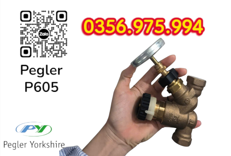 VAN CÂN BẰNG NHIỆT ÁP P605 PEGLER, VAN CÂN BẰNG NHIỆT ÁP PEGLER P605