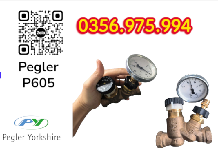 VAN CÂN BẰNG NHIỆT ÁP P605 PEGLER, VAN CÂN BẰNG NHIỆT ÁP PEGLER P605