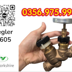 VAN CÂN BẰNG NHIỆT ÁP P605 PEGLER, VAN CÂN BẰNG NHIỆT ÁP PEGLER P605