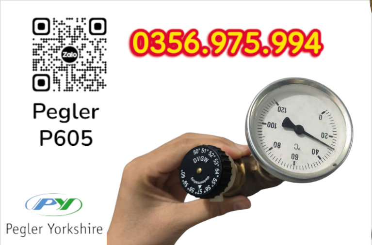VAN CÂN BẰNG NHIỆT ÁP P605 PEGLER, VAN CÂN BẰNG NHIỆT ÁP PEGLER P605